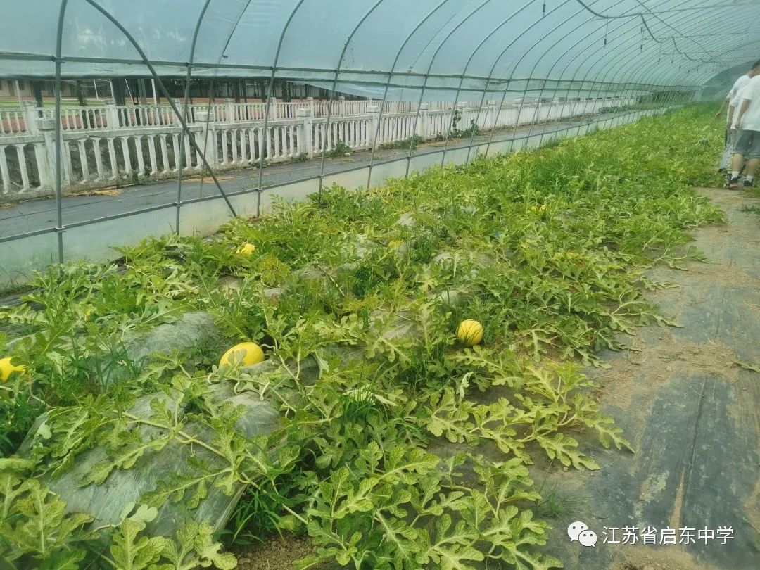 微信图片_20240519104524.jpg 微信图片_20240519104524.jpg